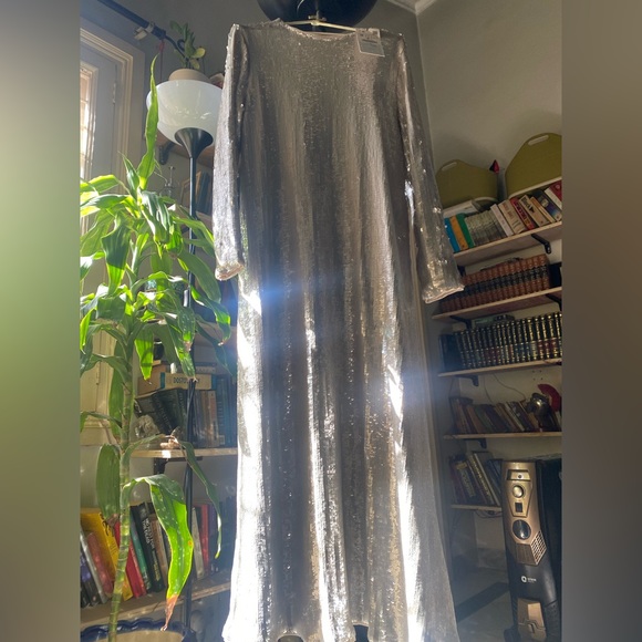 Zara Dresses & Skirts - NWT Ultra Glam Zara sequinned Maxi Dress